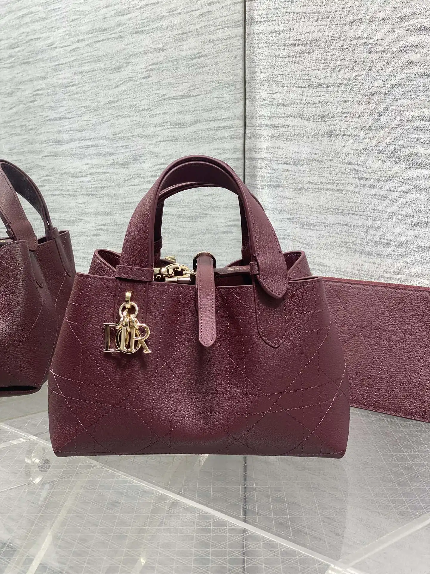 Dior Toujours Small Handbag Dior Toujours Small Handbag