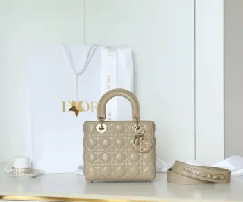 Lady 20cm Gold Buckle   DR-091 Handbag Replica Dior womens bags