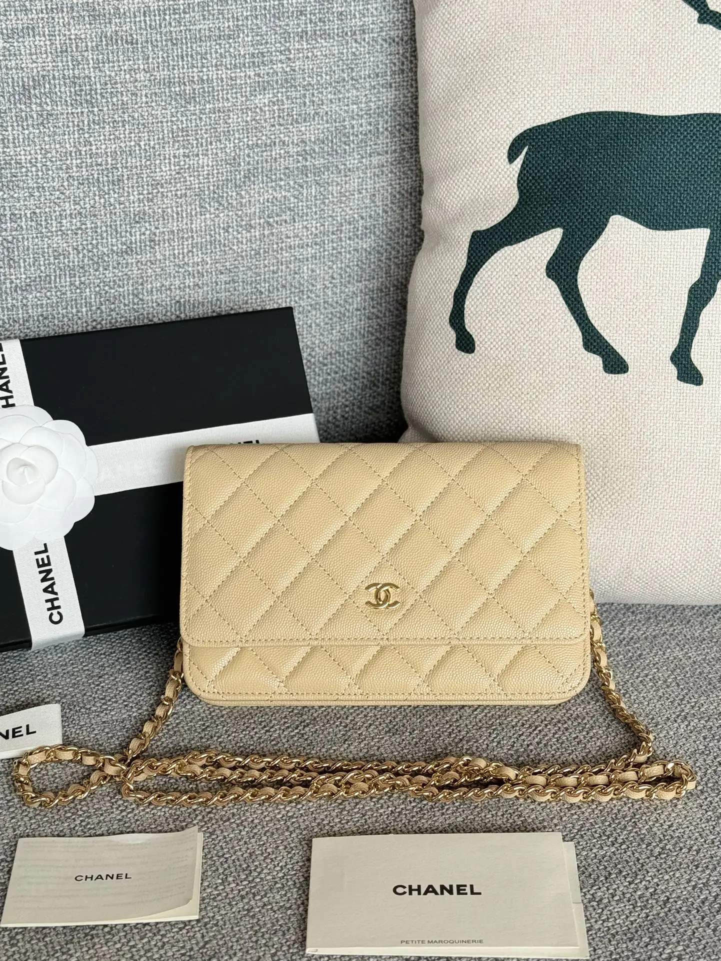 Chanel AP0250 WOC Wallet On Chain Crossbody Bag