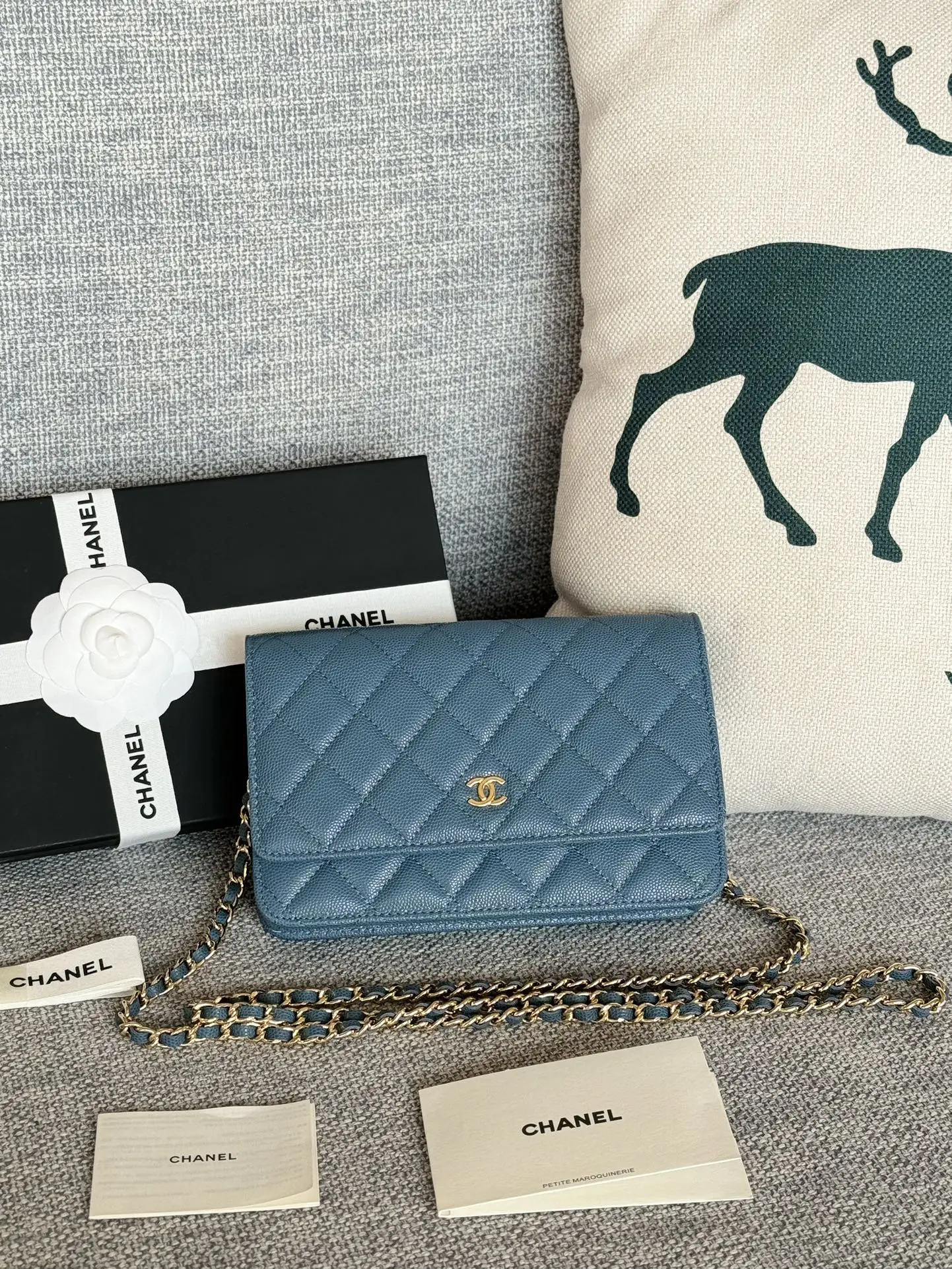 Chanel AP0250 WOC Wallet On Chain Crossbody Bag