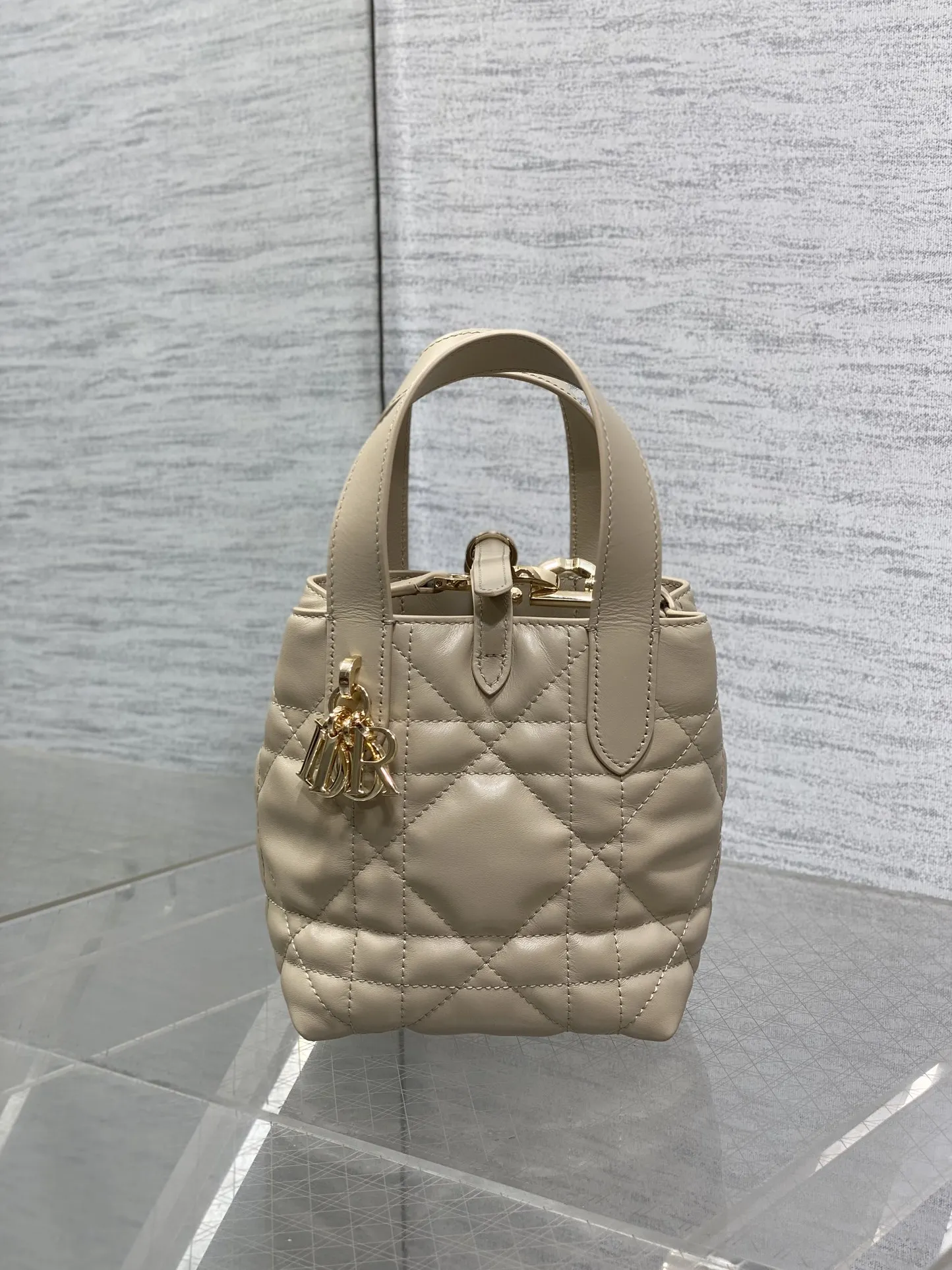 Dior Almond Toujours Vertical Mini Handbag