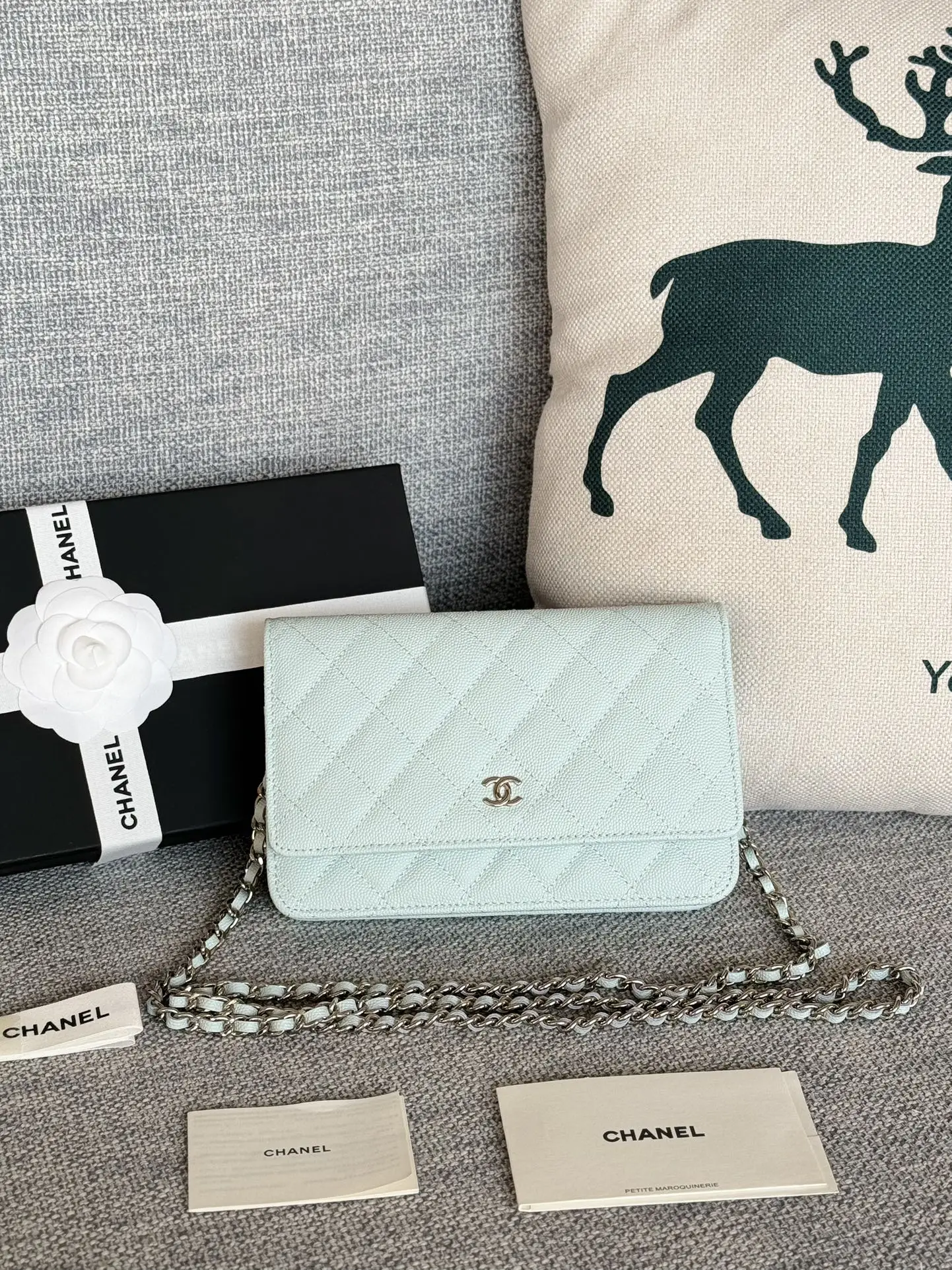 Chanel AP0250 WOC Wallet On Chain Crossbody Bag