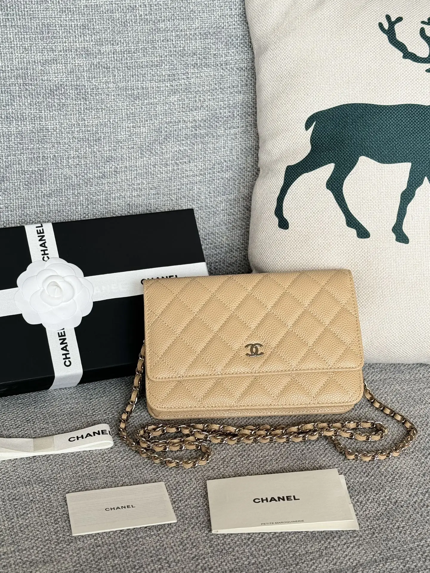 Chanel AP0250 textured crossbody bag