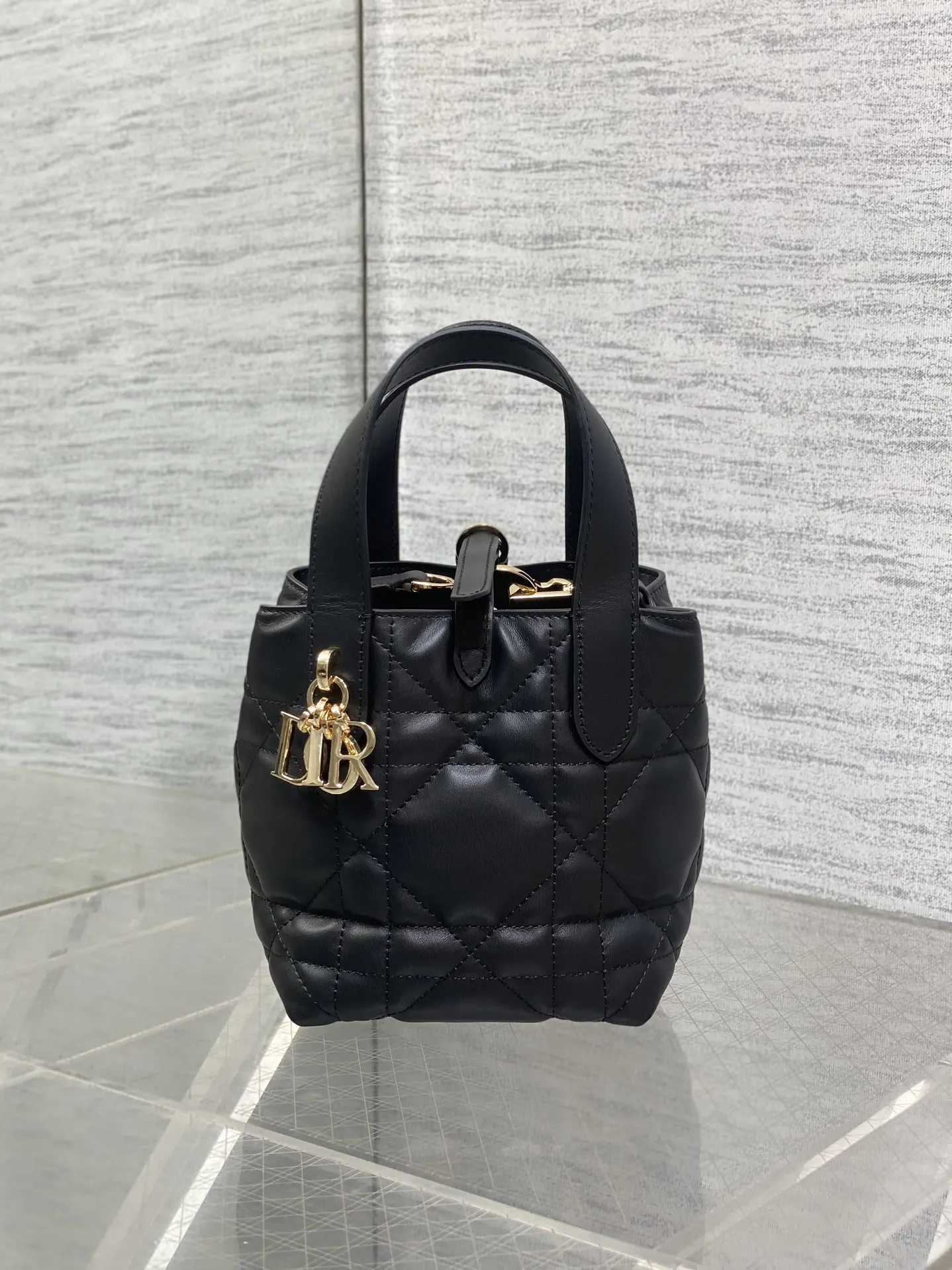 Dior Black Toujours Vertical Mini Handbag Dior Black Toujours Vertical Mini Handbag