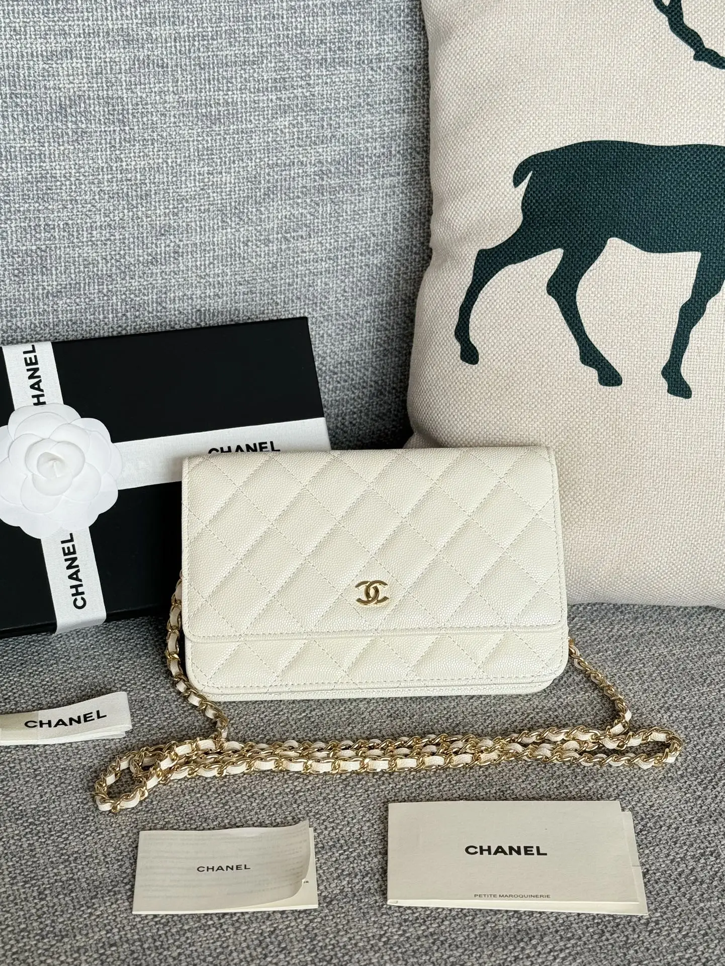 Chanel AP0250 WOC Wallet On Chain Crossbody Bag