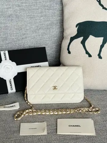 AP0250 WOC Wallet On Chain Crossbody Bag Replica Chanel womens bags