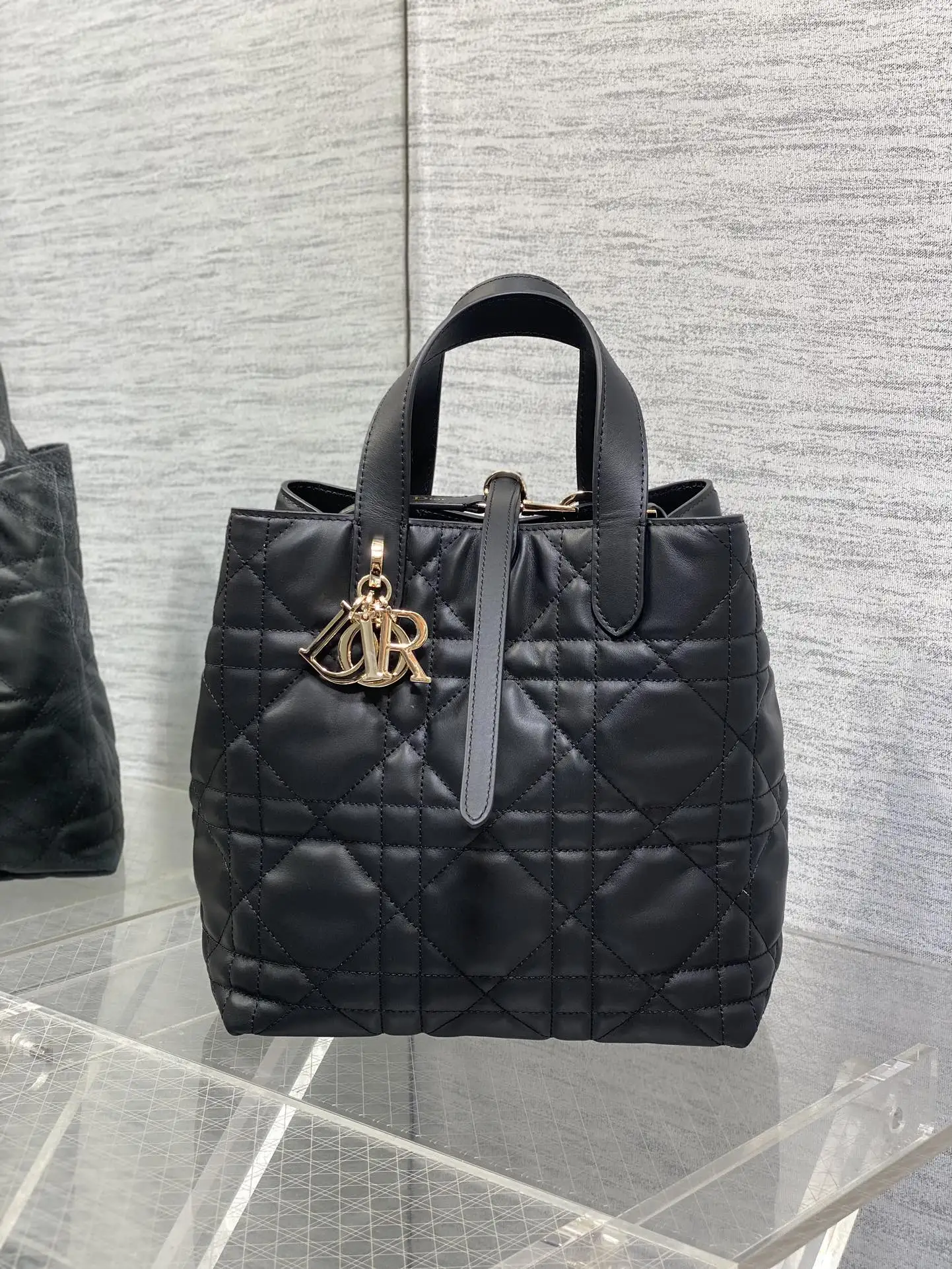 Dior Black Toujours Vertical Medium Handbag Dior Black Toujours Vertical Medium Handbag