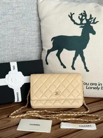 AP0250 WOC Wallet On Chain Crossbody Bag Replica Chanel womens bags