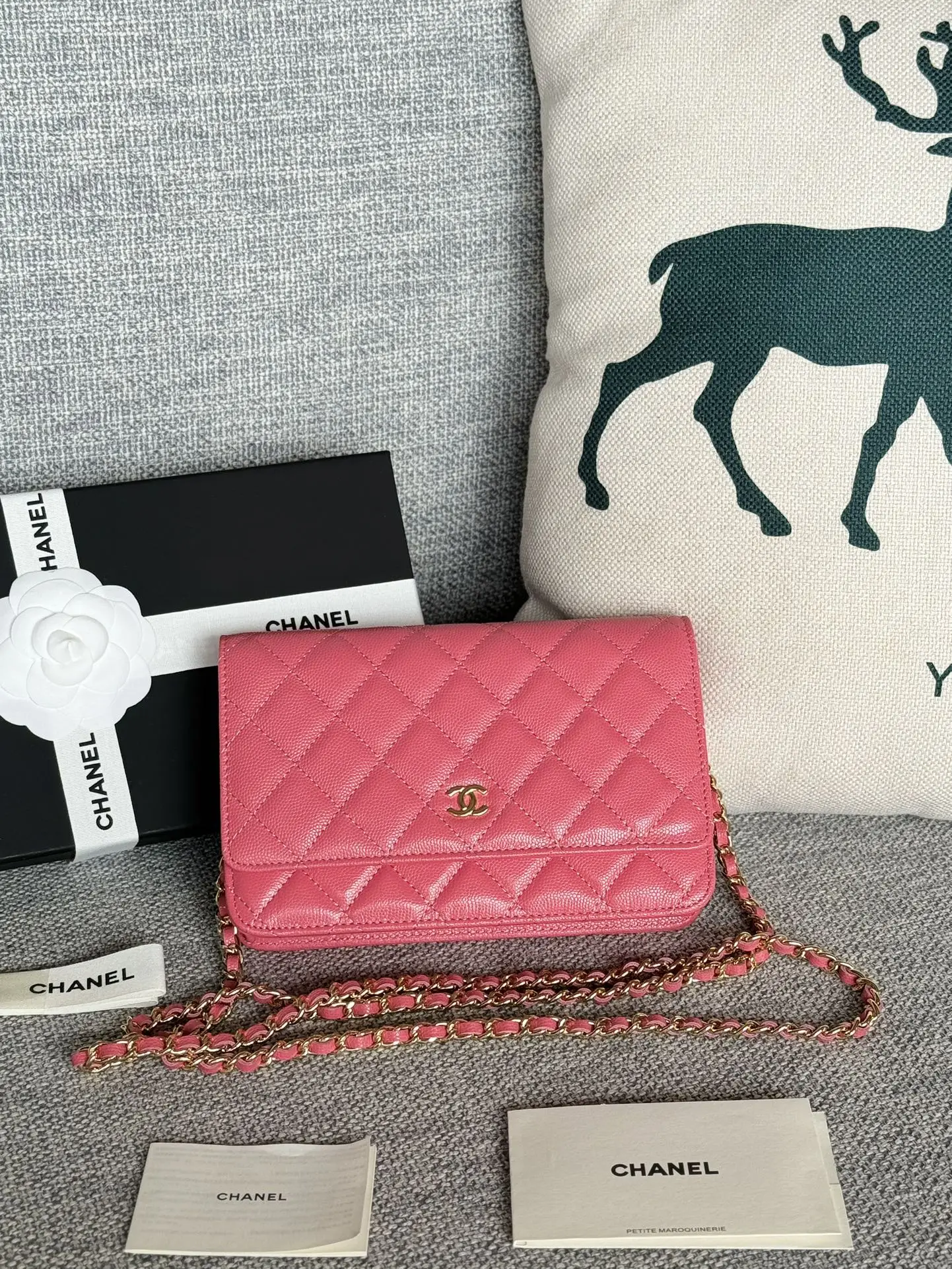 Chanel AP0250 WOC Wallet On Chain Crossbody Bag