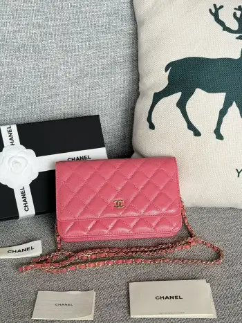 AP0250 WOC Wallet On Chain Crossbody Bag Replica Chanel womens bags