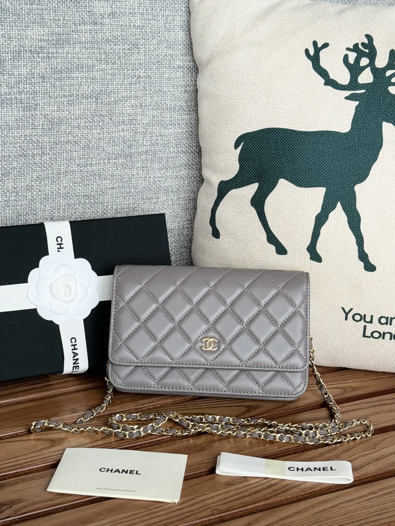 Chanel AP0250 WOC wealth bag crossbody bag