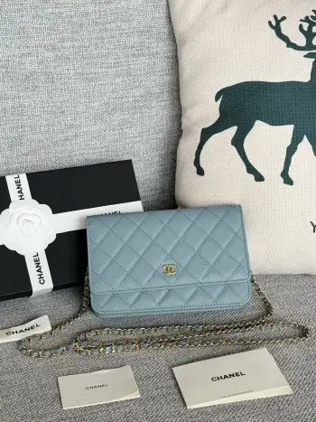 AP0250 WOC Wallet On Chain Crossbody Bag Replica Chanel womens bags