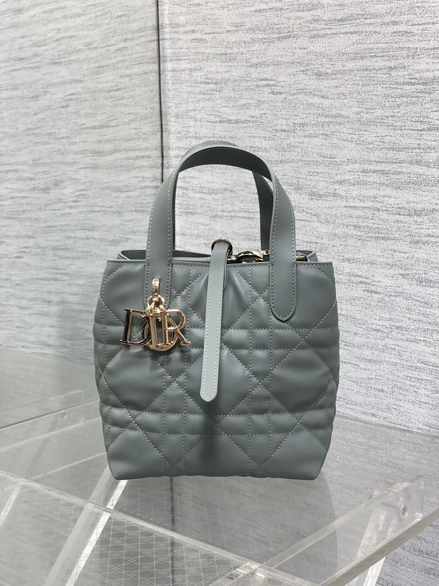 Dior Rock Grey Toujours Vertical Small Handbag