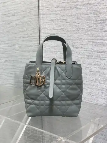 Rock Grey Toujours Vertical Small Handbag Replica Dior womens bags