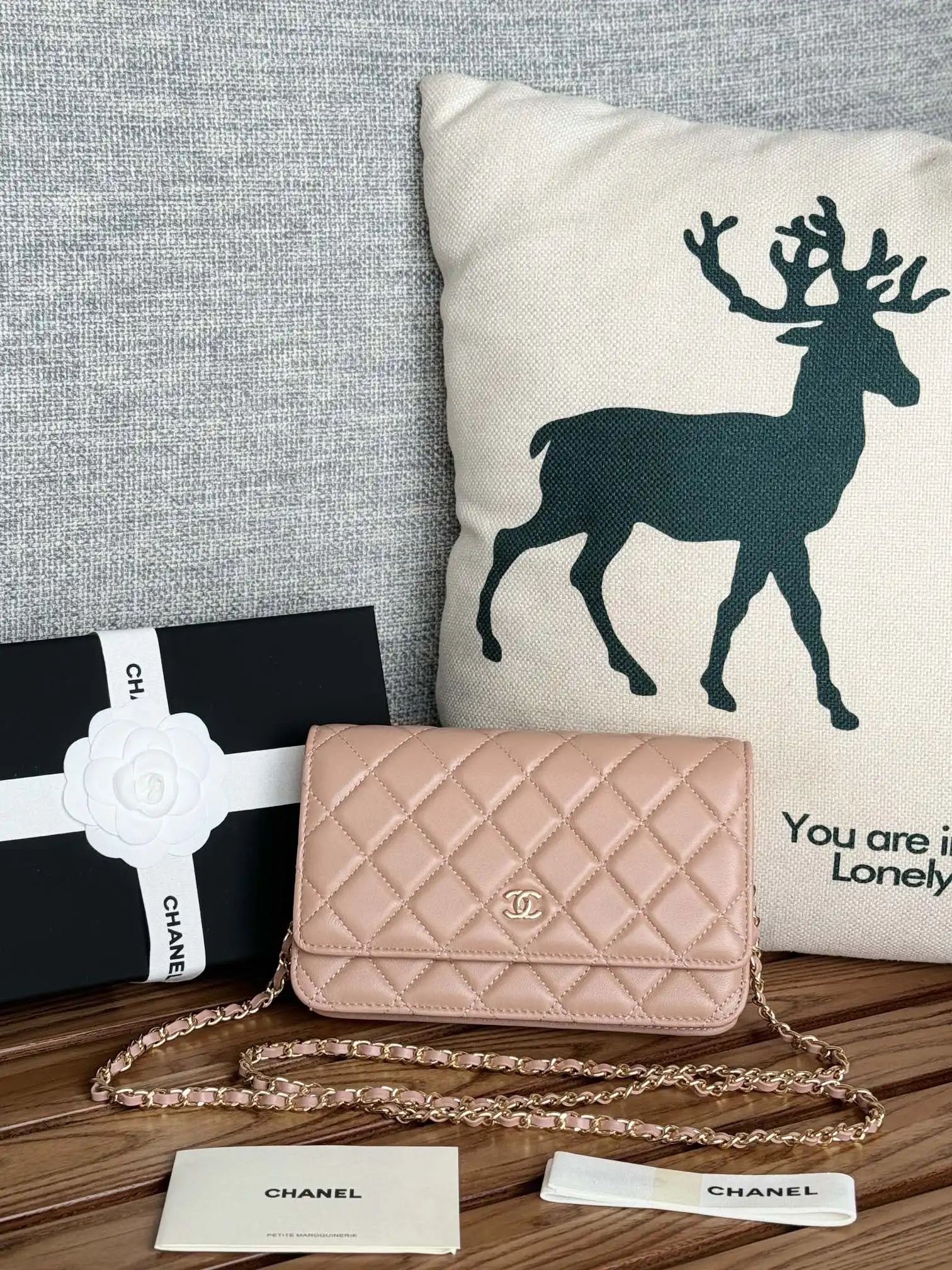 Chanel AP0250 WOC wealth bag crossbody bag