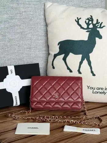 AP0250 WOC wealth bag crossbody bag Replica Chanel womens bags