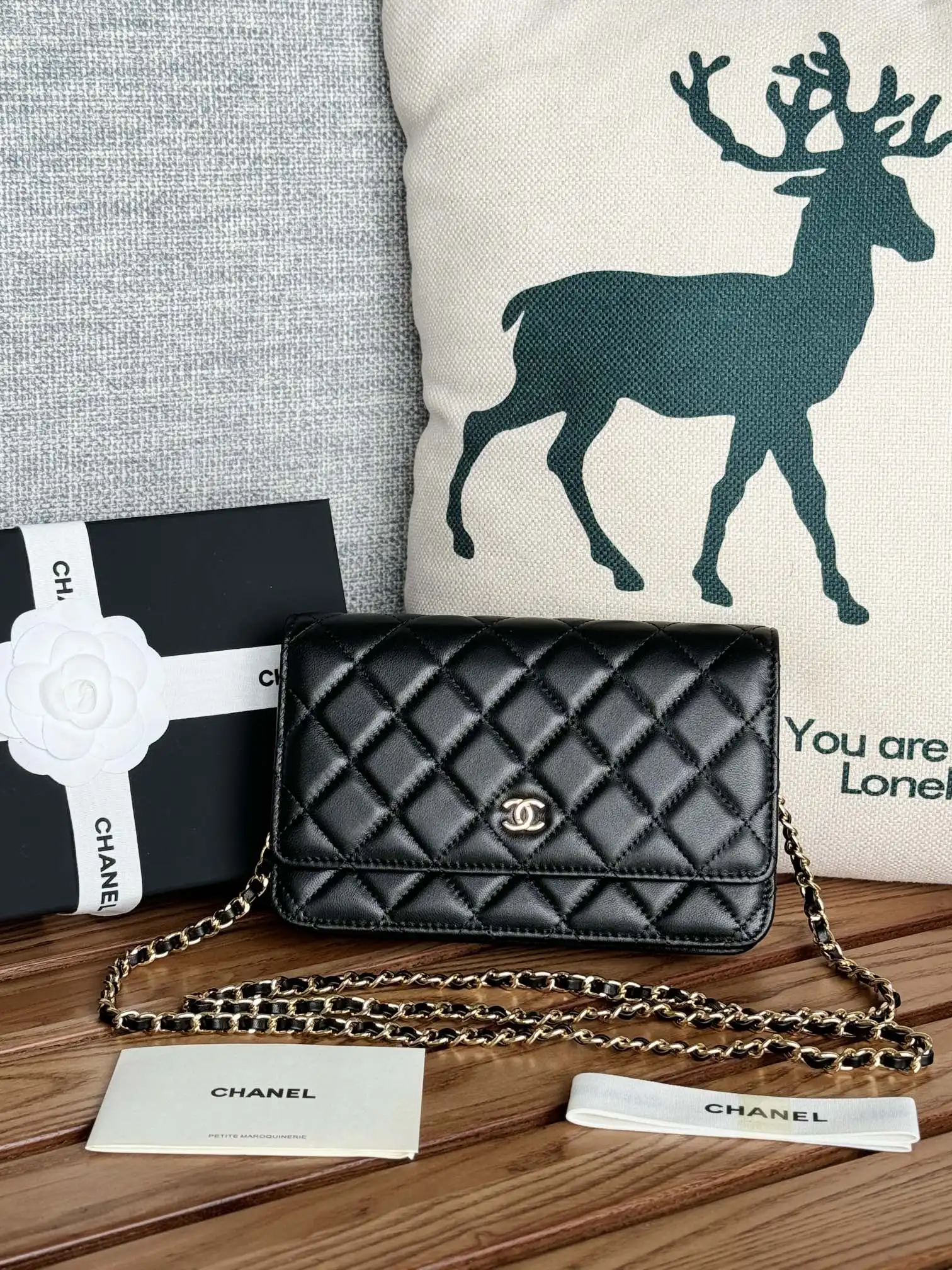 Chanel AP0250 WOC Wallet On Chain Crossbody Bag