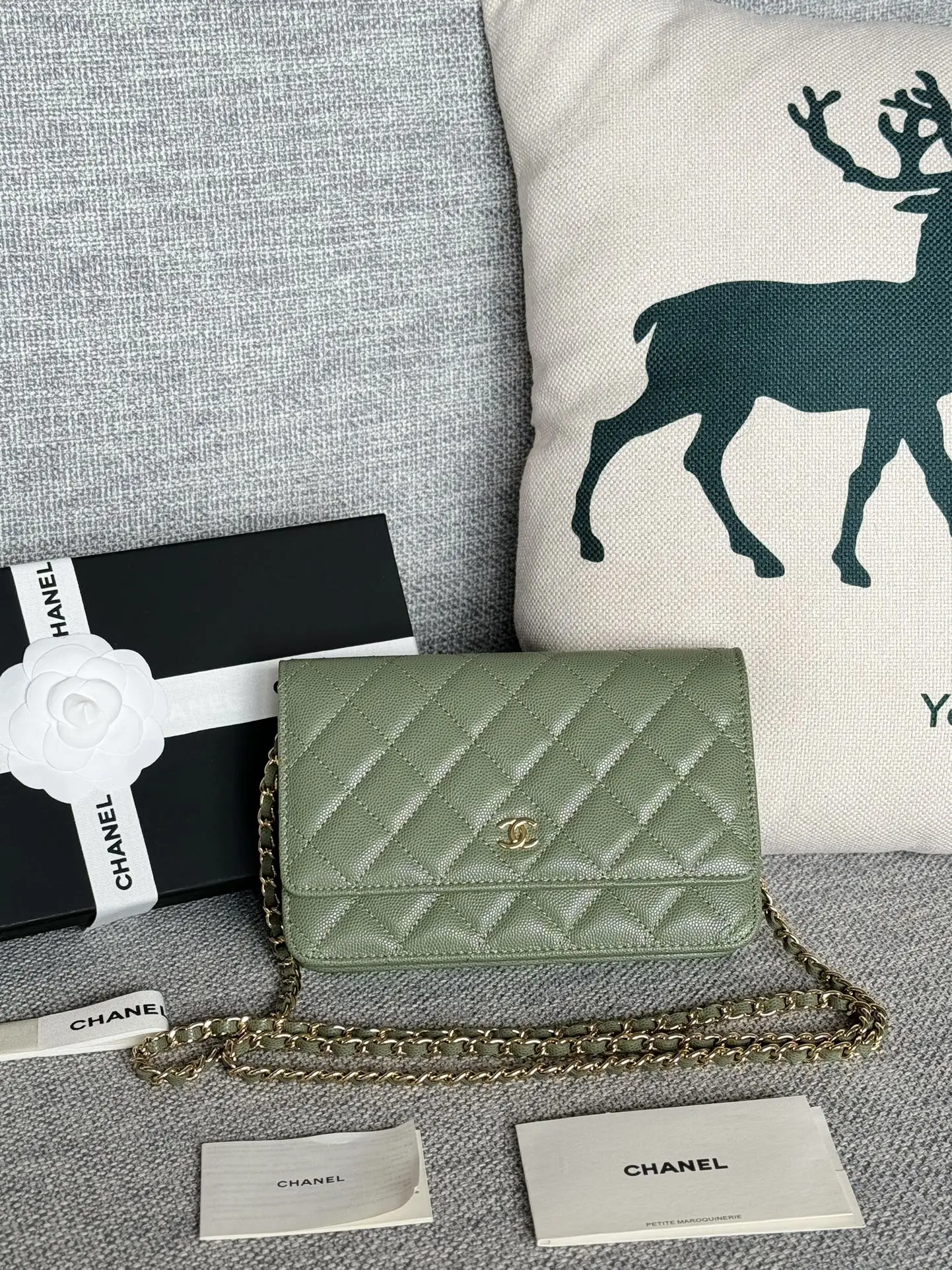 Chanel AP0250 WOC Wallet On Chain Crossbody Bag