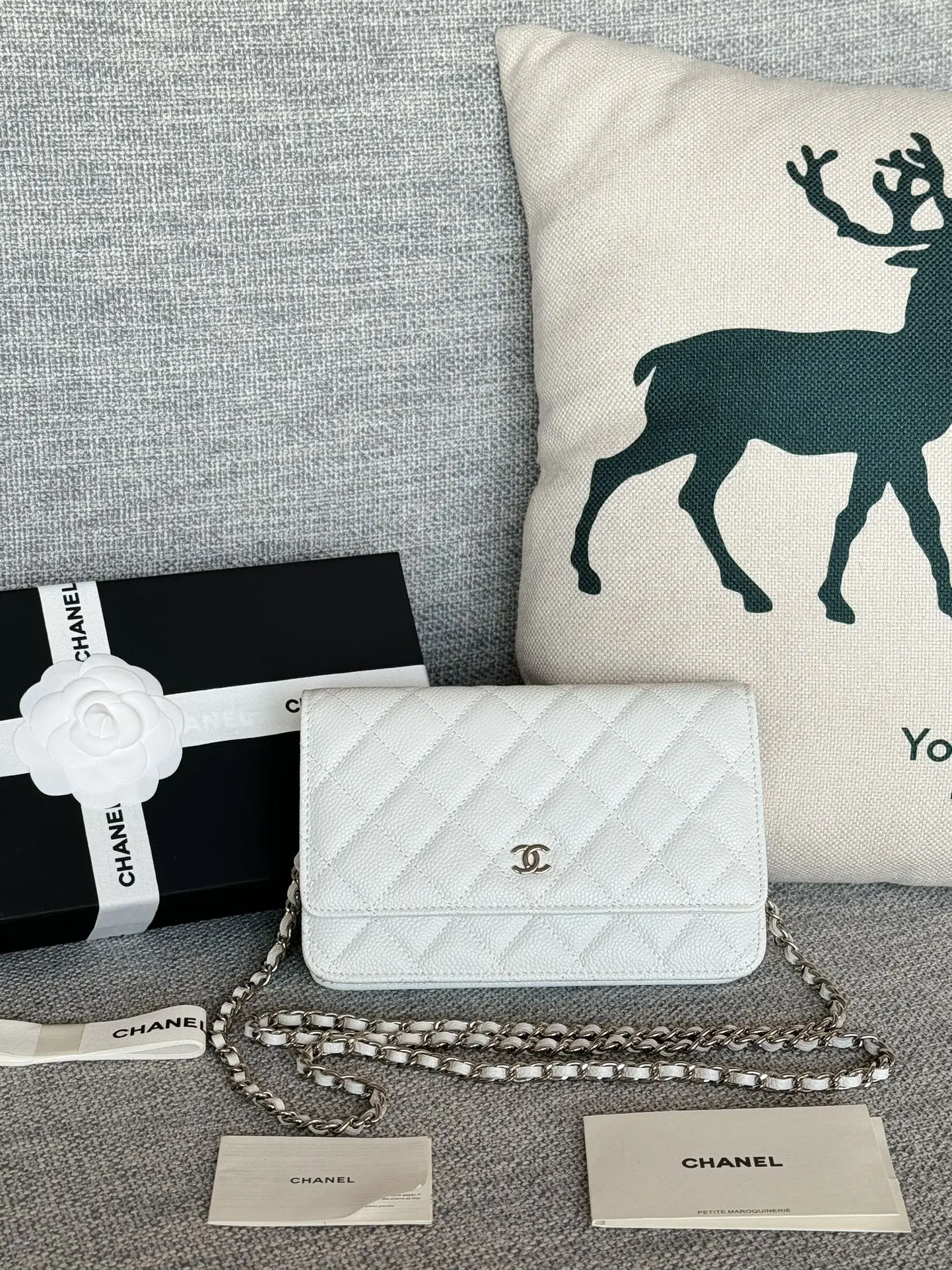 Chanel AP0250 Coarse Grain Women s Crossbody Bag