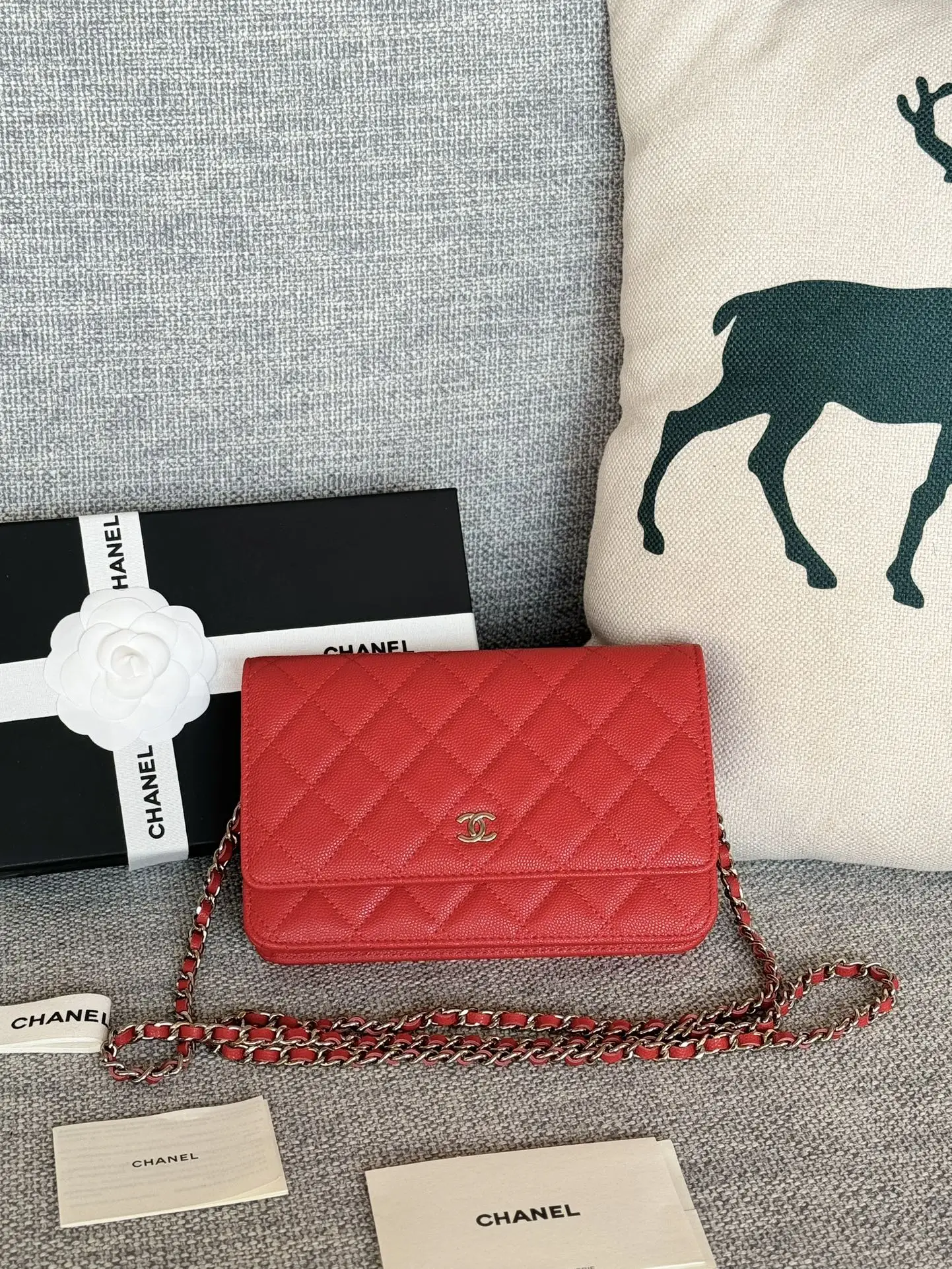 Chanel AP0250 WOC Wallet On Chain Crossbody Bag