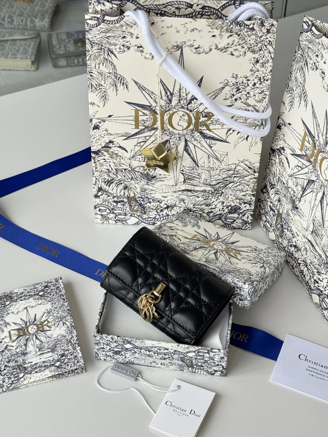 Dior S0966ONMJ_M413 My Dior Glycine Wallet