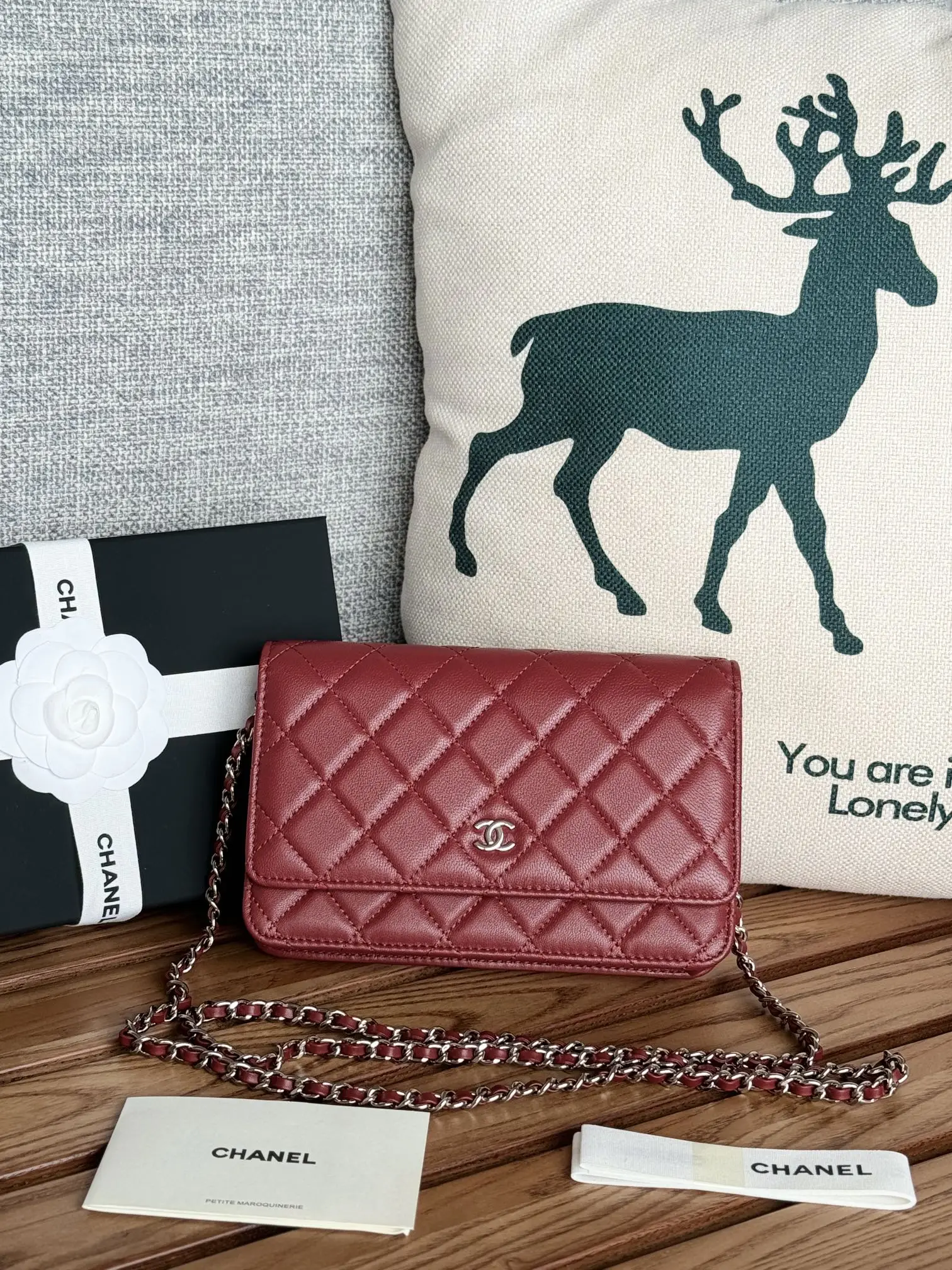 Chanel AP0250 WOC Wallet On Chain Crossbody Bag