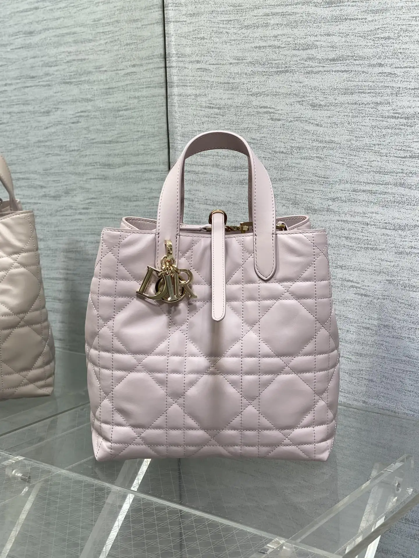 Dior Sweet Pink Toujours Vertical Medium Handbag