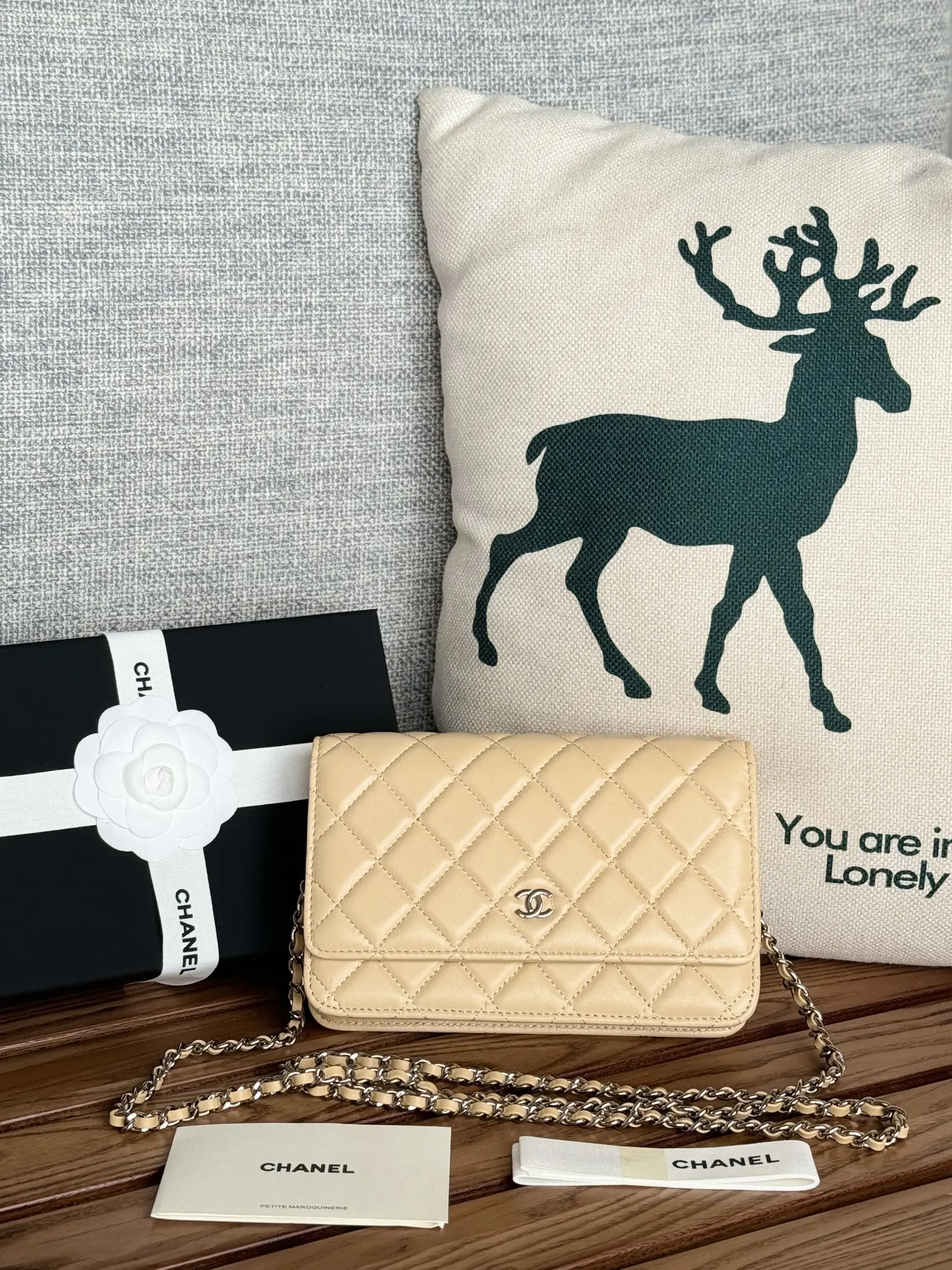 Chanel AP0250 WOC Wallet On Chain Crossbody Bag