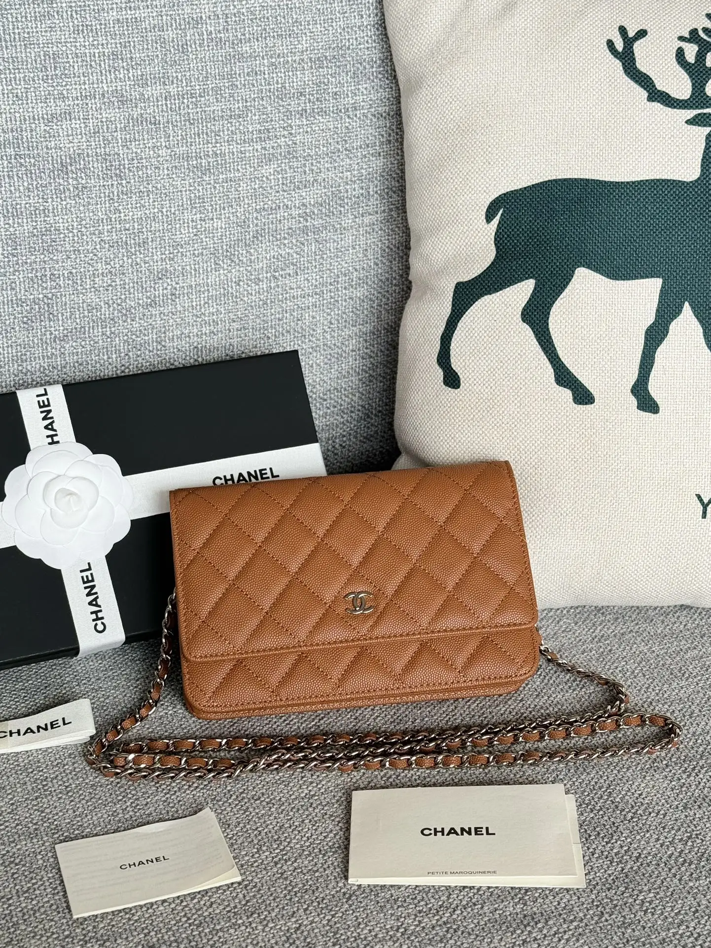 Chanel AP0250 WOC Wallet On Chain Crossbody Bag