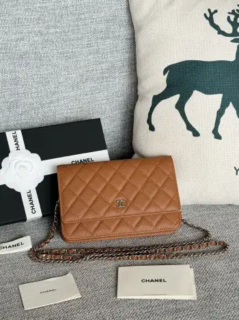 AP0250 WOC Wallet On Chain Crossbody Bag Replica Chanel womens bags