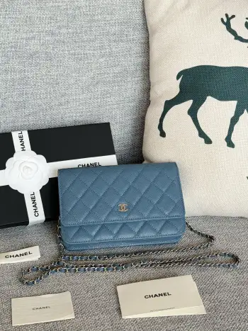 AP0250 WOC Wallet On Chain Crossbody Bag Replica Chanel womens bags