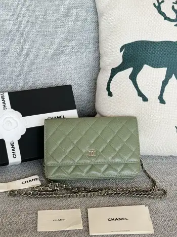 AP0250 WOC Wallet On Chain Crossbody Bag Replica Chanel womens bags