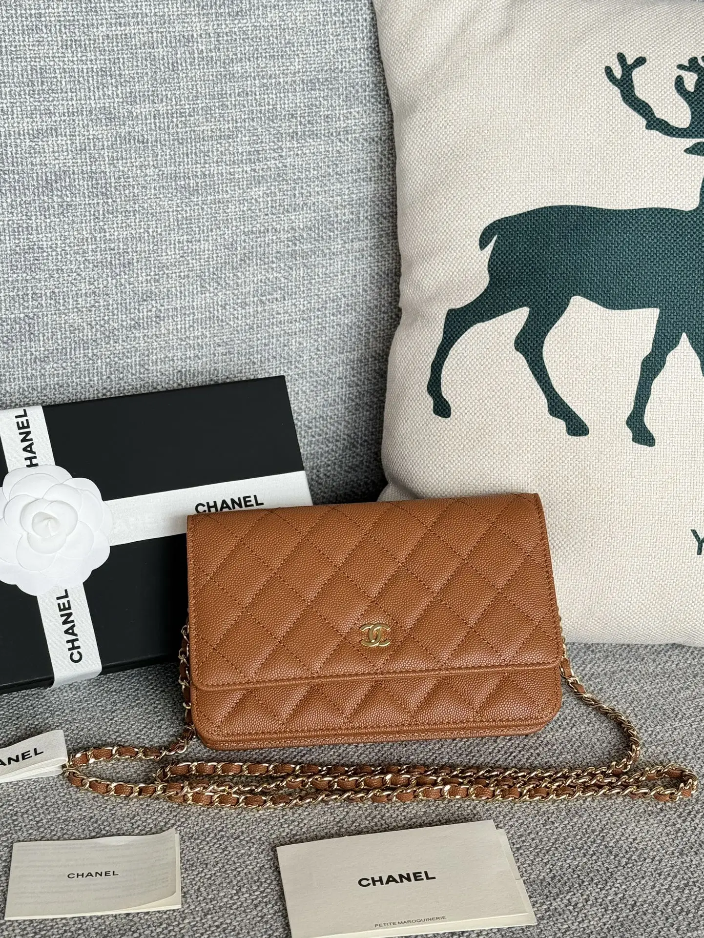 Chanel AP0250 WOC Wallet On Chain Crossbody Bag