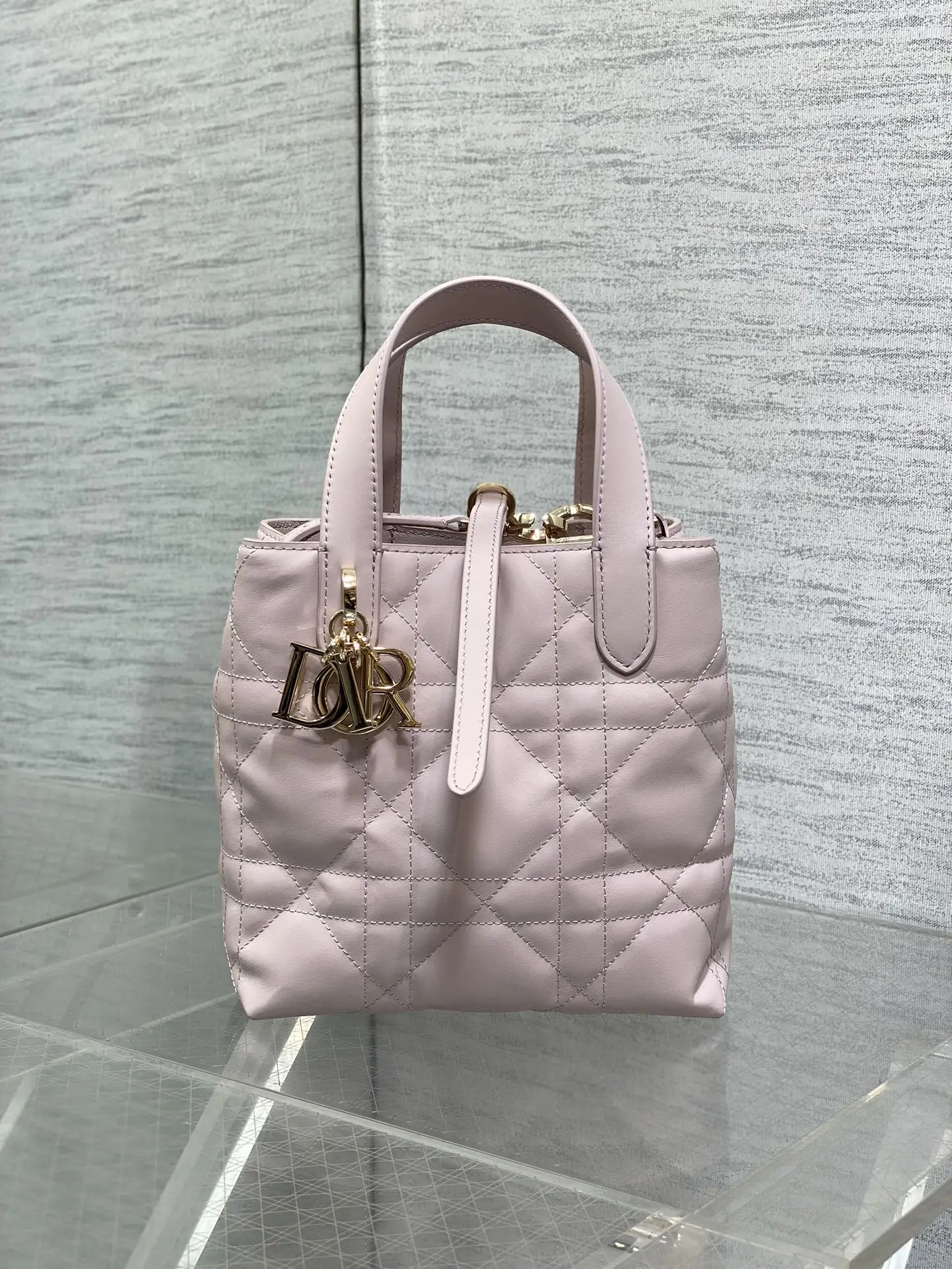 Dior Sweet Pink Toujours Vertical Small Handbag