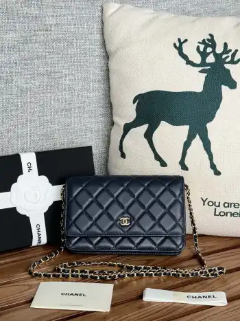 AP0250 WOC Wealth Bag Crossbody Bag Replica Chanel womens bags