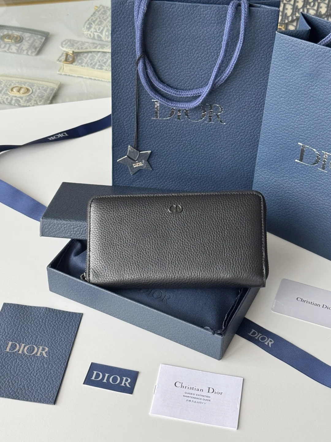 Dior 2ESBC252YSE-315 Long Zip Around Wallet
