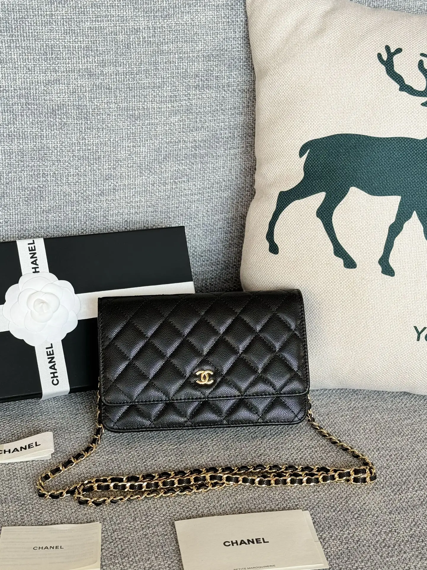 Chanel AP0250 WOC Wallet On Chain Crossbody Bag