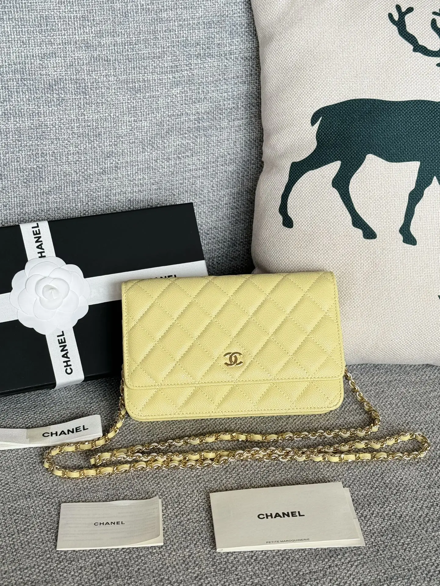 Chanel AP0250 WOC Wallet On Chain Crossbody Bag