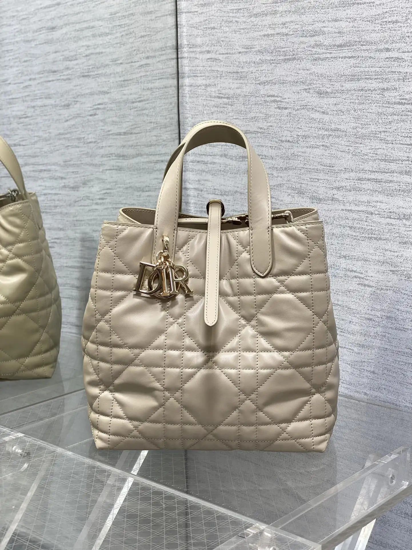 Dior Almond Toujours Vertical Medium Handbag