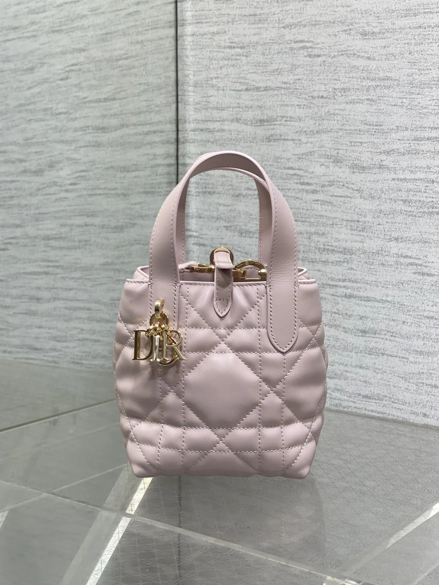Dior Sweet Pink Toujours Vertical Mini Handbag