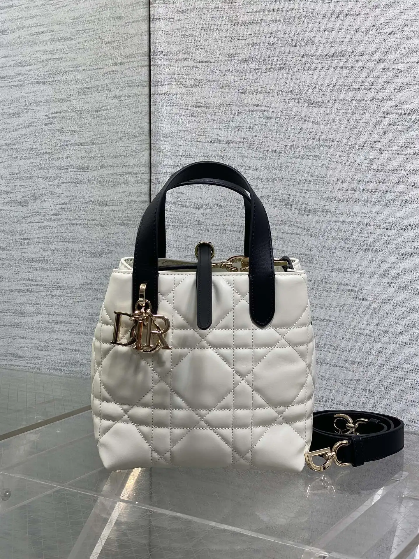 Dior Toujours Vertical Small Handbag in Black and White