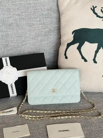 AP0250 WOC Wallet On Chain Crossbody Bag Replica Chanel womens bags