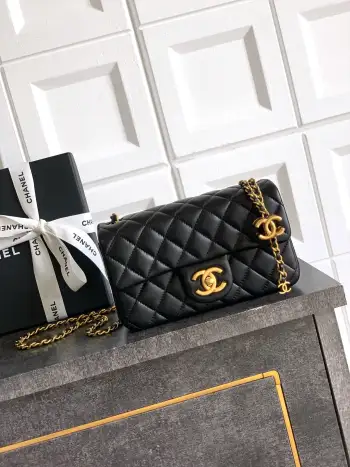 25B CF Double C Adjustable Buckle Square Vanity Case Women s Crossbody Bag Replica Chanel womens bags
