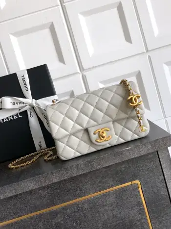 25B CF Double C Adjustable Buckle Square Vanity 20cm Women s Crossbody Bag Replica Chanel womens bags