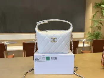 25C Lunch Box Bag Women s Handbag Crossbody Bag Replica Chanel womens bags