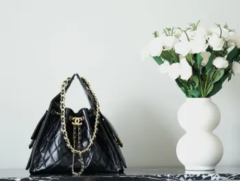 25BAG Best-selling Women s Shoulder Bag Replica Chanel womens bags