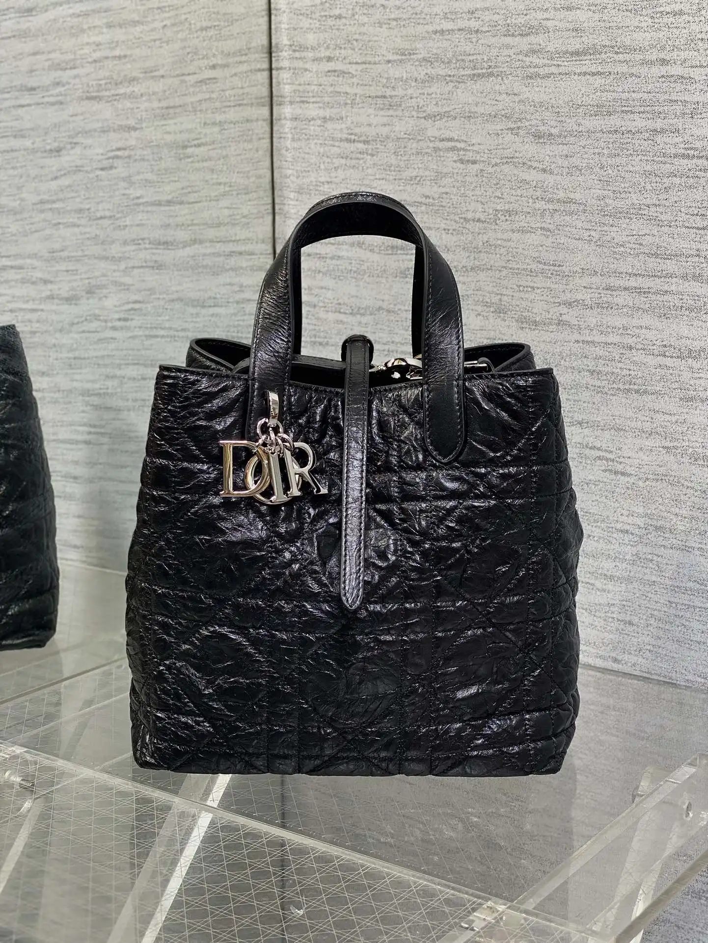 Dior Oil Wax Leather Vertical Series Mini Crossbody Bag Women s Crossbody Bag