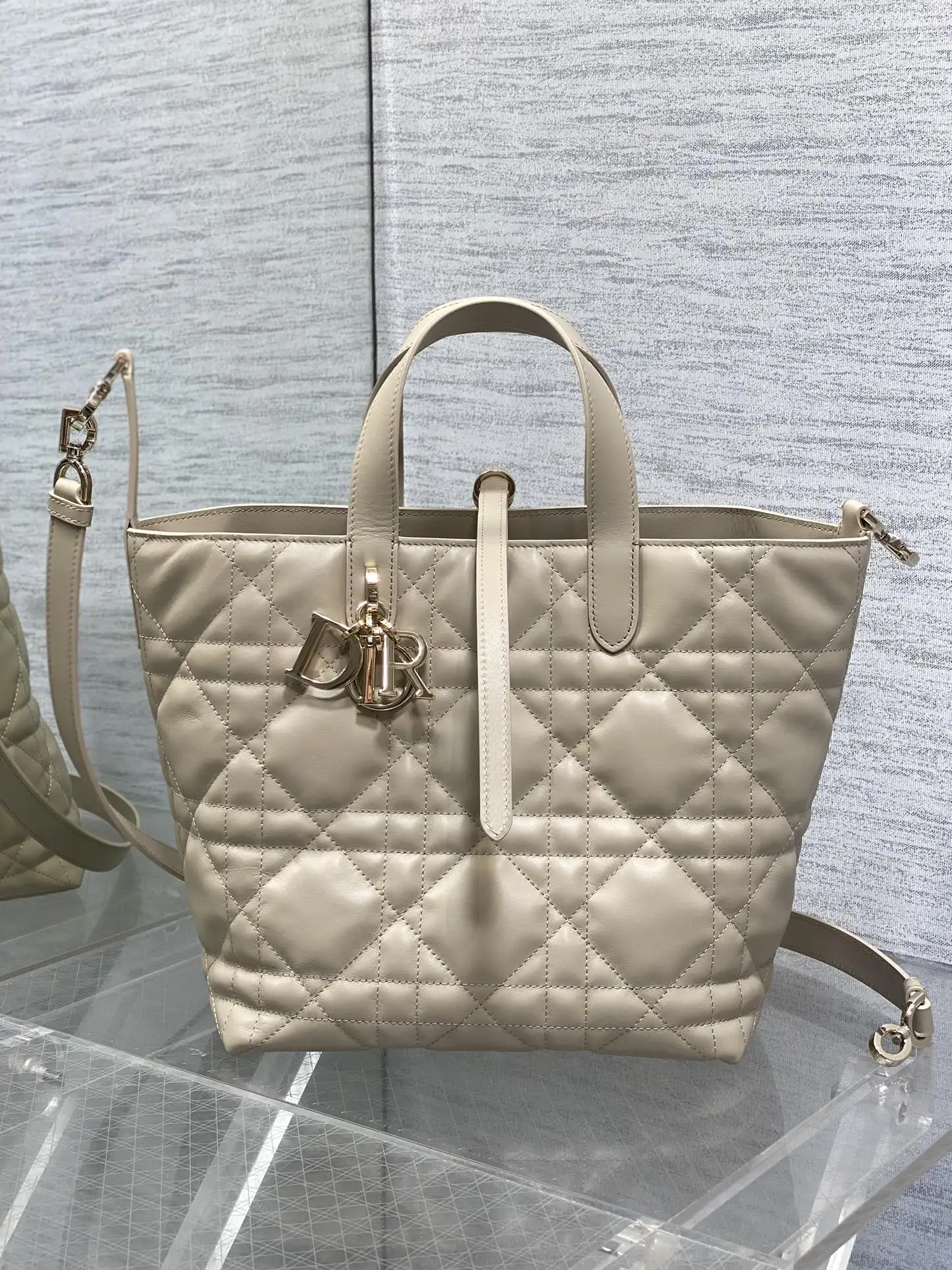 Dior Cowhide Oil Wax Leather Toujours Vertical Series Mini Crossbody Bag Women s Crossbody Bag