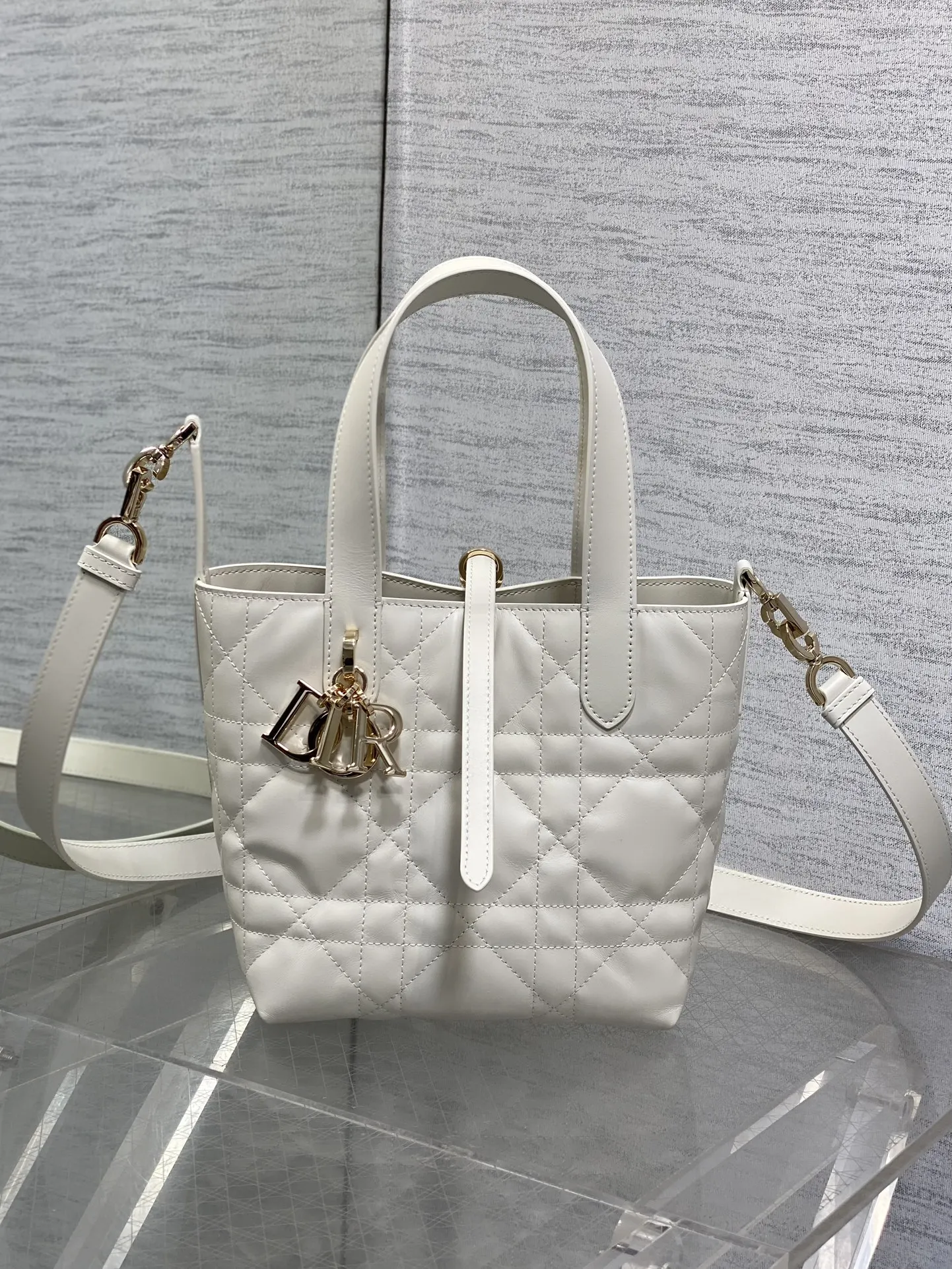 Dior Cowhide Wax Leather Toujours Vertical Series Mini Crossbody Bag Women s Crossbody Bag