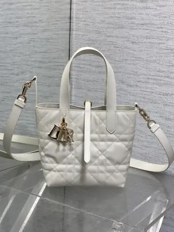 银油蜡皮Toujours竖版系列迷你斜挎包 女士斜挎包高仿迪奥女包